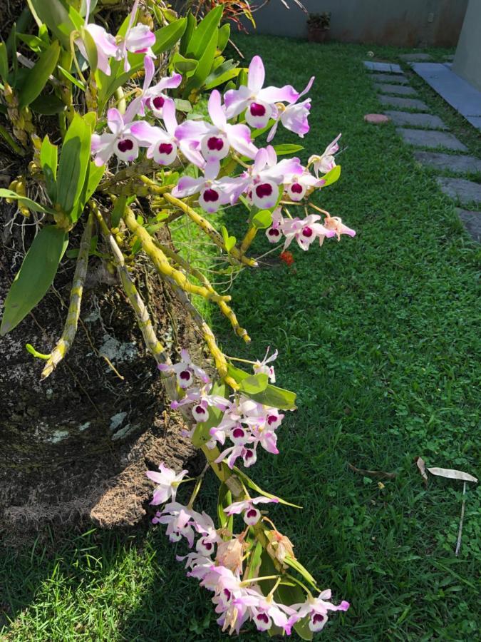 Casa Em Cond. Fechado Praia Mococa - Caraguatatuba Mar Verde מראה חיצוני תמונה